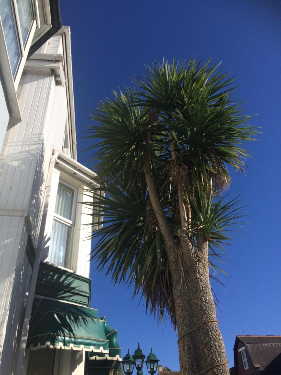 The Haldon Guest House Paignton Buitenkant foto